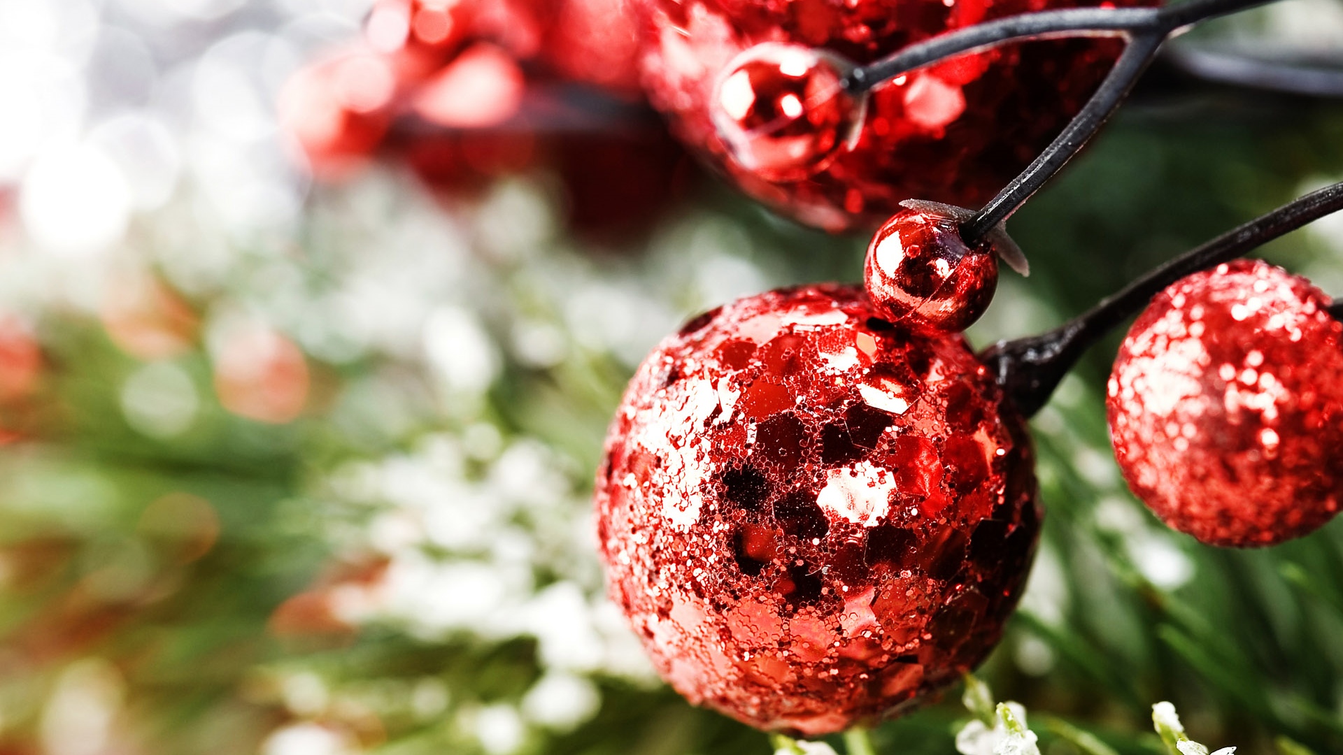 Christmas, Collection, Offer, Holiday, Sale