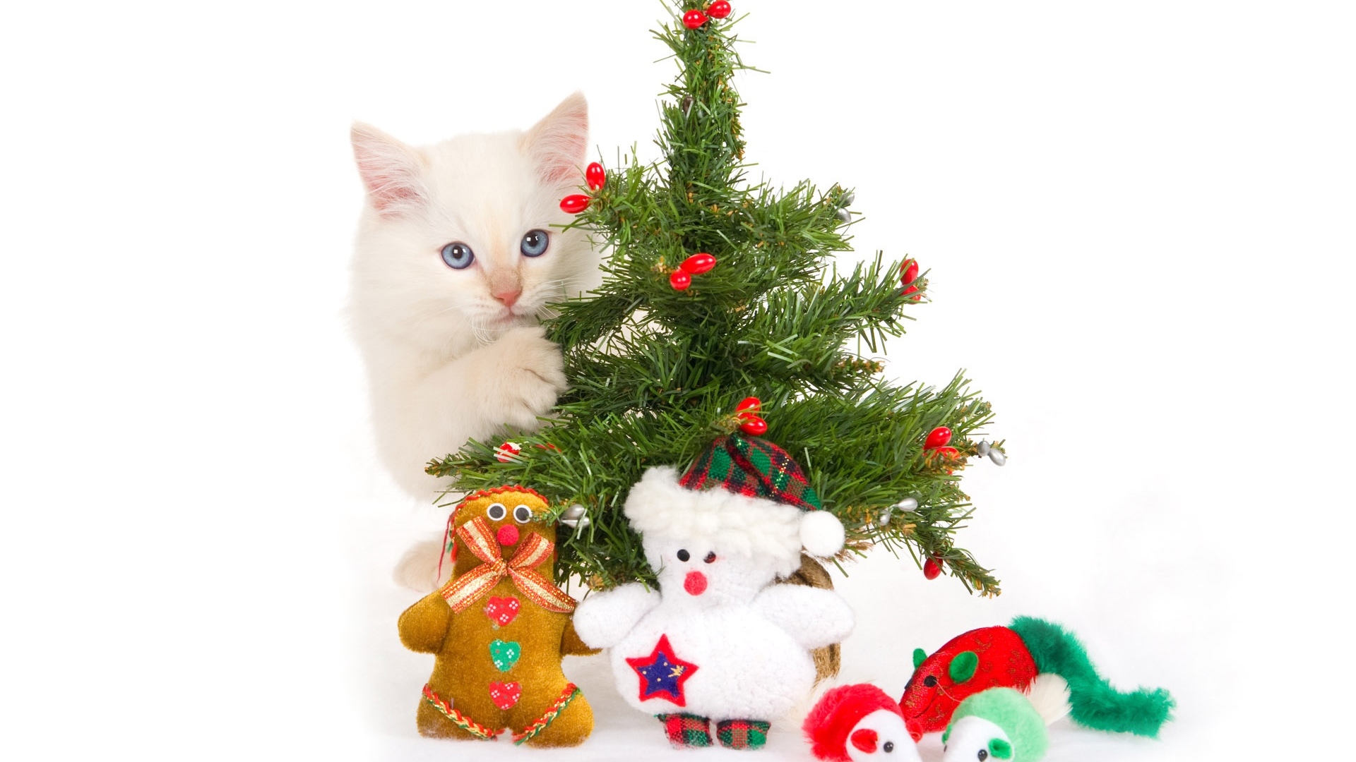 Exclusive, Holiday, Promos, Online Retailer, Sales