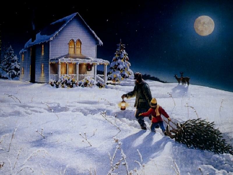 Online, Smart Home, Devices, Christmas, Sale