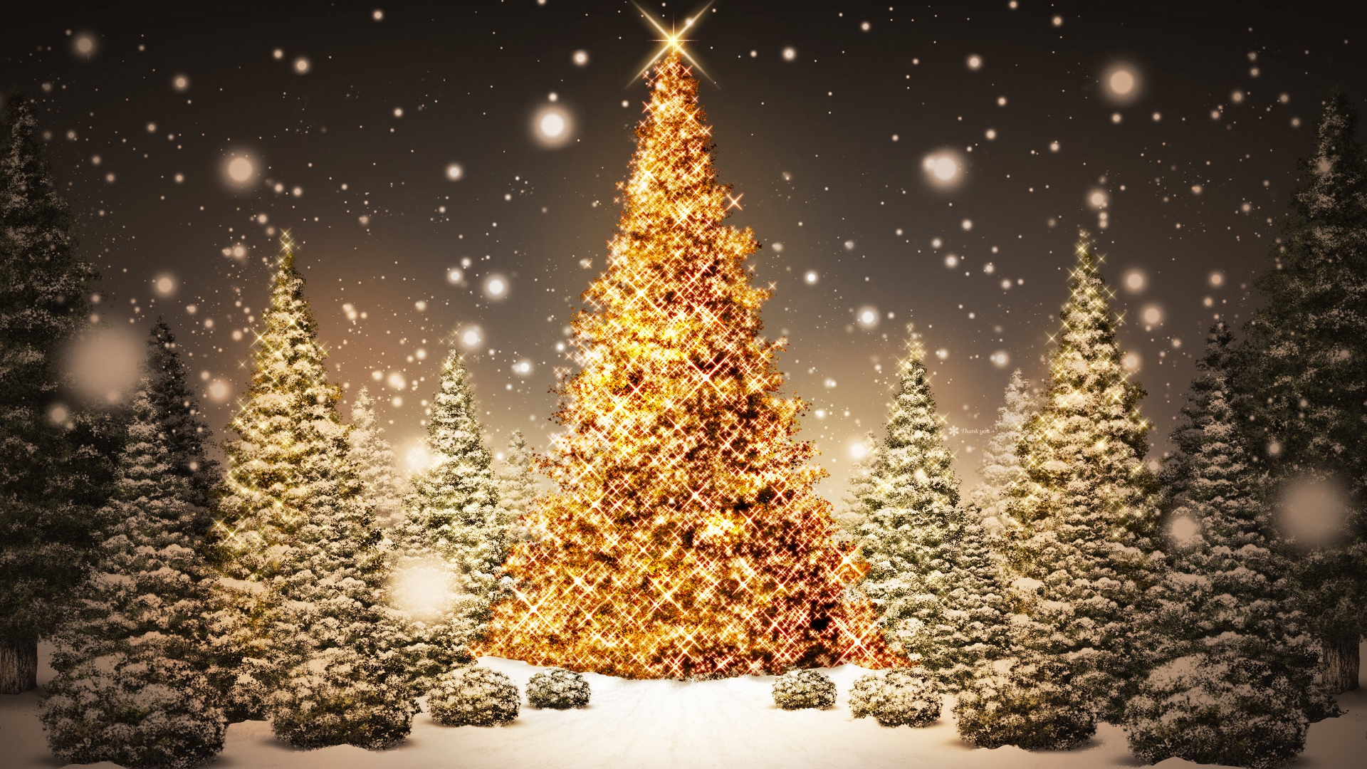 winter, weight loss, savings, seasonal, healthy eating