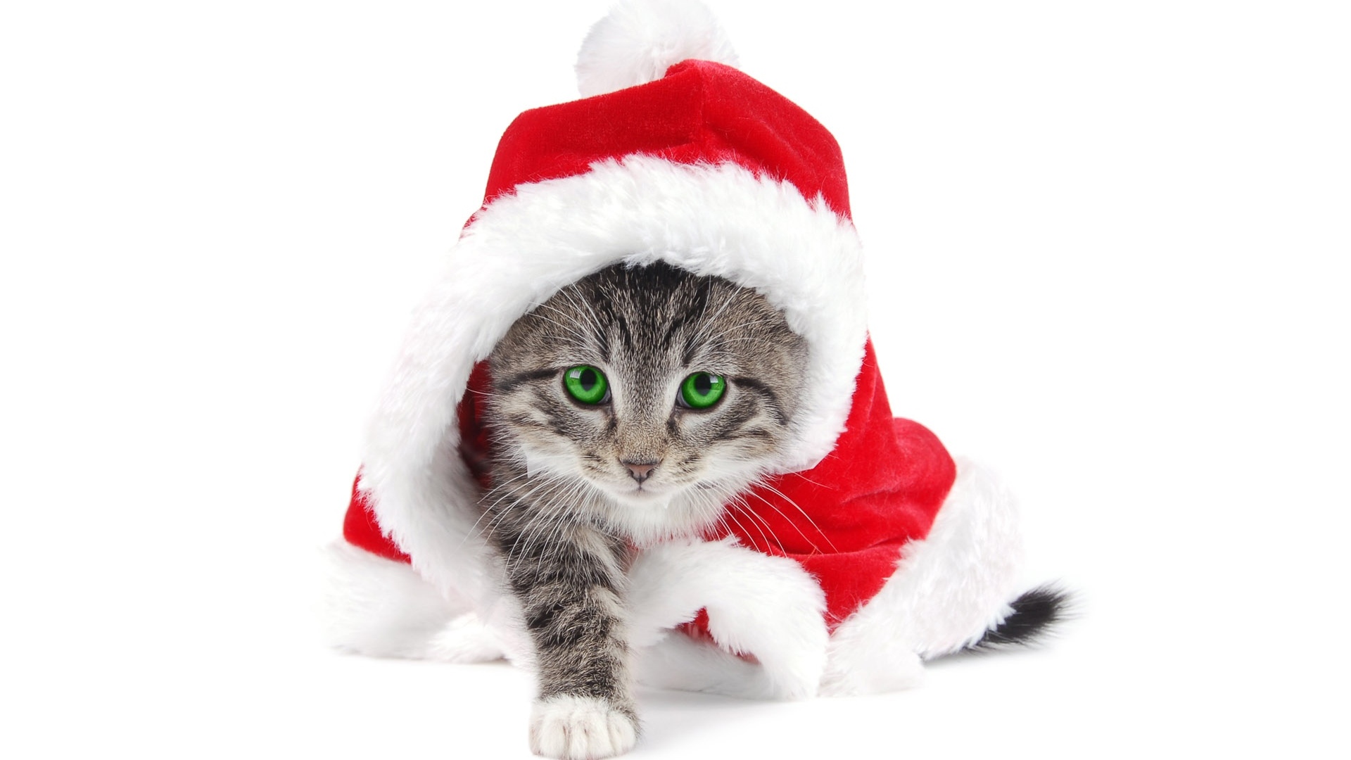 Year-End Tech Deals, Exclusive Discounts, Tech, Deals, Discounts
